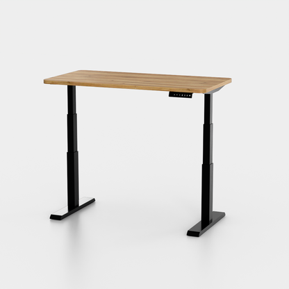 Elevate Pro Desk